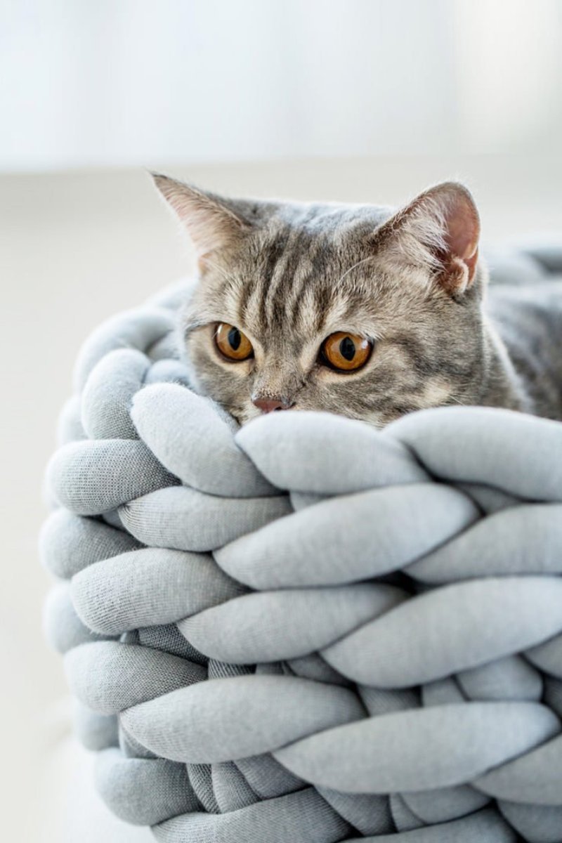 Chunky Cat Basket