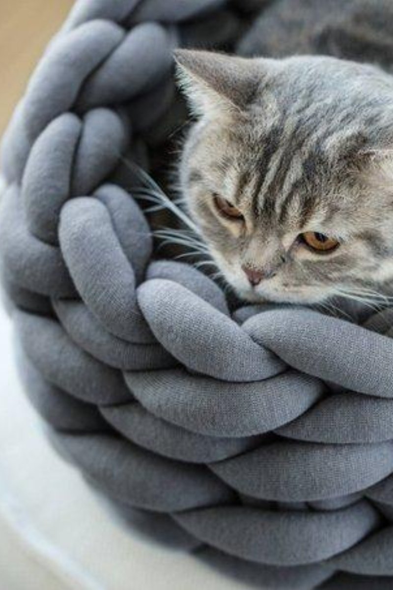 Chunky Cat Basket
