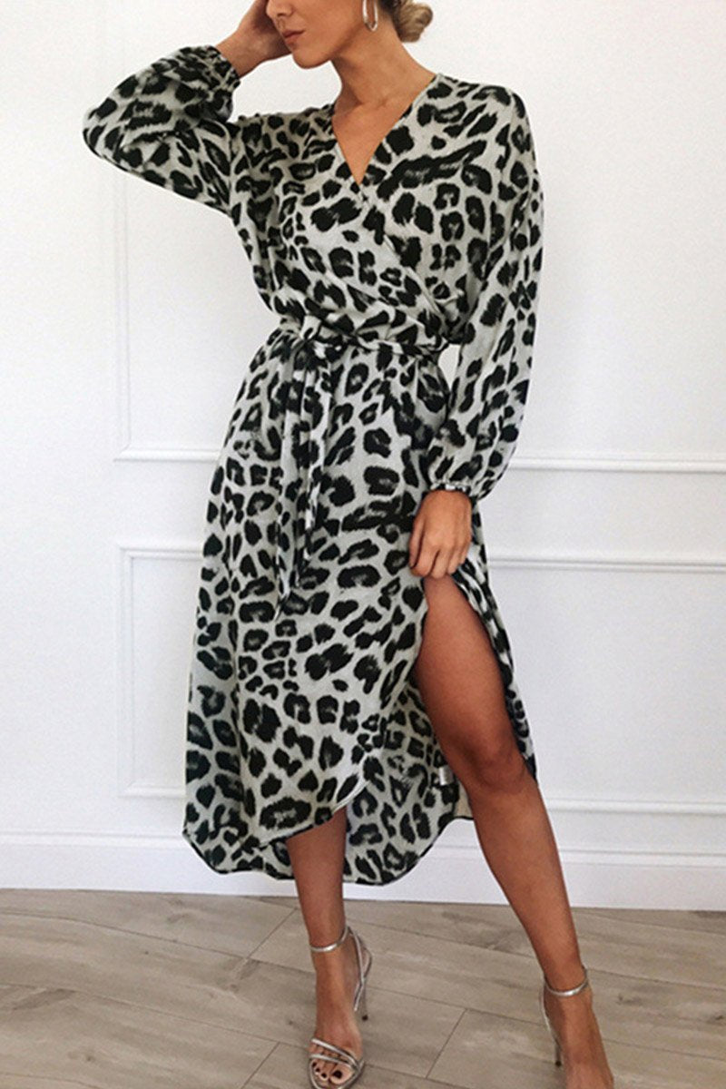 Animal Print Wrap Dress